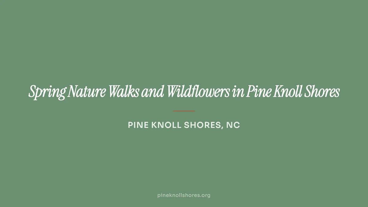 Spring wildflowers along a nature trail in Pine Knoll Shores on the Crystal Coast