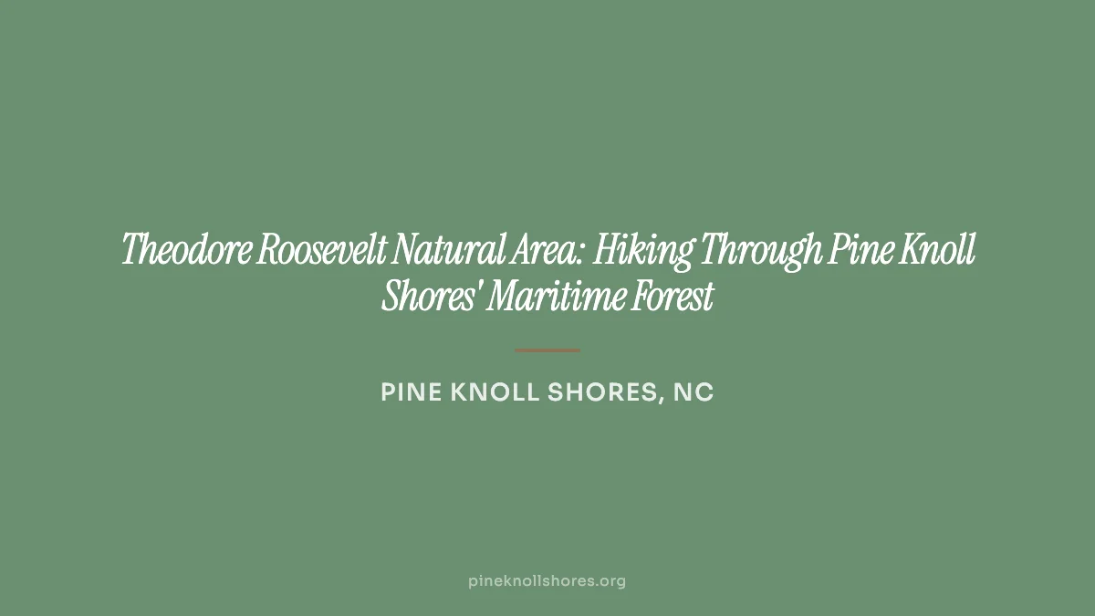 Shaded hiking trail through the maritime forest at Theodore Roosevelt Natural Area in Pine Knoll Shores, NC