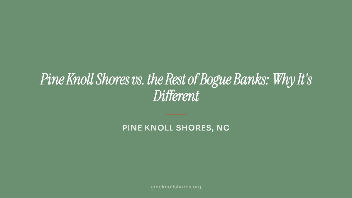 Quiet residential street shaded by maritime forest canopy in Pine Knoll Shores on Bogue Banks, North Carolina