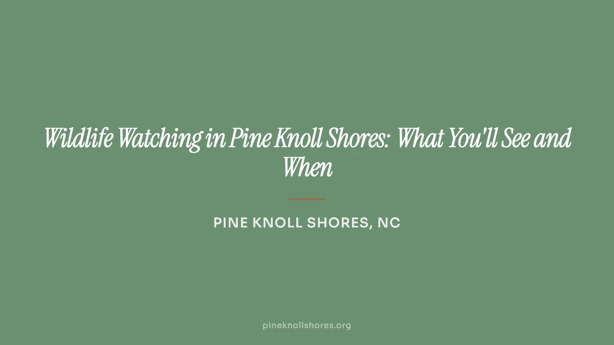 Great egret wading in the salt marsh along Bogue Sound near Pine Knoll Shores, North Carolina